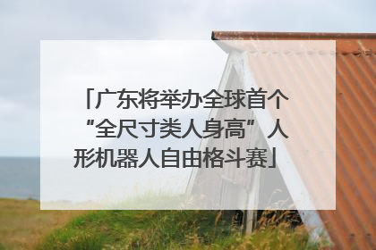 广东将举办全球首个“全尺寸类人身高”人形机器人自由格斗赛