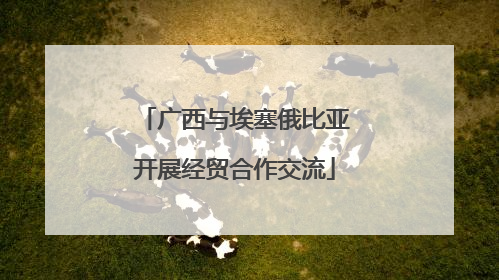 广西与埃塞俄比亚开展经贸合作交流