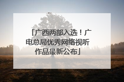 广西两部入选！广电总局优秀网络视听作品最新公布
