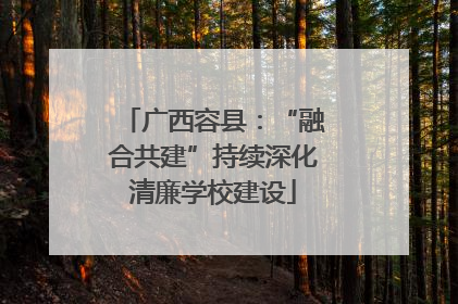 广西容县：“融合共建”持续深化清廉学校建设