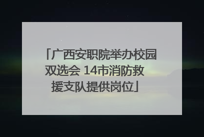 广西安职院举办校园双选会 14市消防救援支队提供岗位
