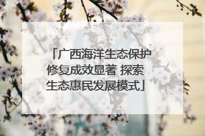 广西海洋生态保护修复成效显著 探索生态惠民发展模式