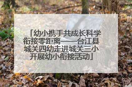 幼小携手共成长科学衔接零距离——台江县城关四幼走进城关三小开展幼小衔接活动