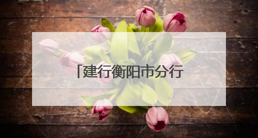 建行衡阳市分行：学习张富清先进事迹 书写金融为民美好篇章