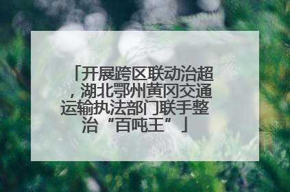 开展跨区联动治超，湖北鄂州黄冈交通运输执法部门联手整治“百吨王”