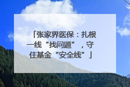 张家界医保：扎根一线“找问题”，守住基金“安全线”