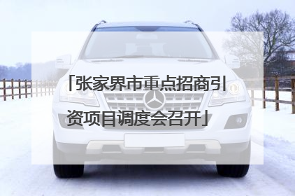 张家界市重点招商引资项目调度会召开