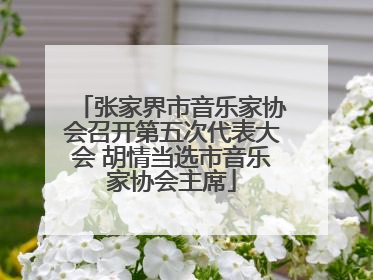 张家界市音乐家协会召开第五次代表大会 胡情当选市音乐家协会主席