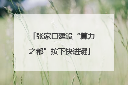 张家口建设“算力之都”按下快进键