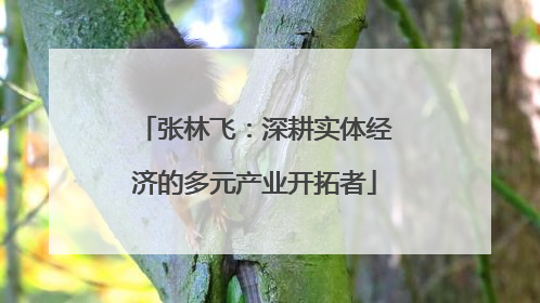 张林飞：深耕实体经济的多元产业开拓者