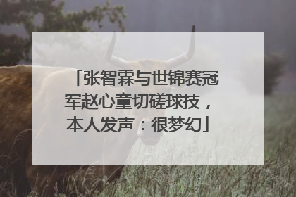 张智霖与世锦赛冠军赵心童切磋球技，本人发声：很梦幻
