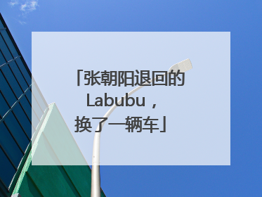 张朝阳退回的Labubu，换了一辆车