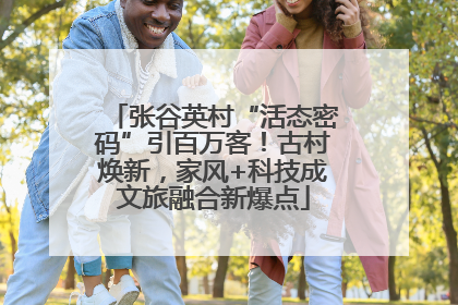 张谷英村“活态密码”引百万客！古村焕新，家风+科技成文旅融合新爆点