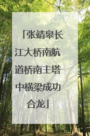 张靖皋长江大桥南航道桥南主塔中横梁成功合龙