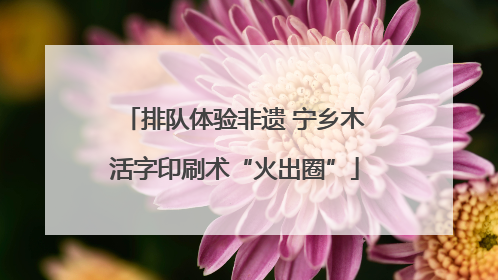 排队体验非遗 宁乡木活字印刷术“火出圈”