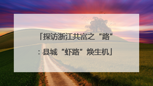探访浙江共富之“路”：县城“虾路”焕生机