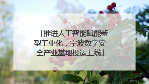 推进人工智能赋能新型工业化，宁波数字安全产业基地投运上线