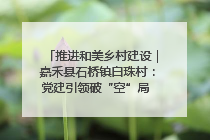 推进和美乡村建设｜嘉禾县石桥镇白珠村：党建引领破“空”局 乡贤聚力绘就新图景