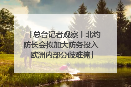 总台记者观察丨北约防长会拟加大防务投入 欧洲内部分歧难掩