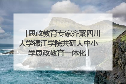 思政教育专家齐聚四川大学锦江学院共研大中小学思政教育一体化