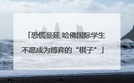 恐慌蔓延 哈佛国际学生不愿成为博弈的“棋子”
