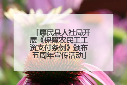惠民县人社局开展《保障农民工工资支付条例》颁布五周年宣传活动