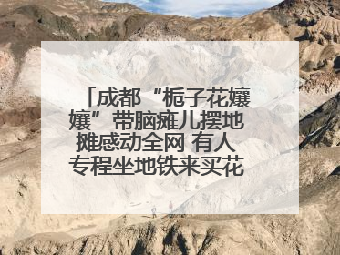 成都“栀子花孃孃”带脑瘫儿摆地摊感动全网 有人专程坐地铁来买花！丨封面头条
