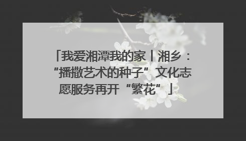 我爱湘潭我的家丨湘乡：“播撒艺术的种子”文化志愿服务再开“繁花”