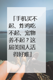 手机买不起、炸鸡吃不起、宠物养不起？这届美国人活得好难