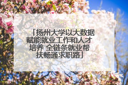 扬州大学以大数据赋能就业工作和人才培养 全链条就业帮扶畅通求职路