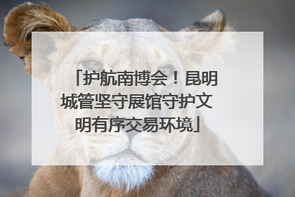 护航南博会！昆明城管坚守展馆守护文明有序交易环境