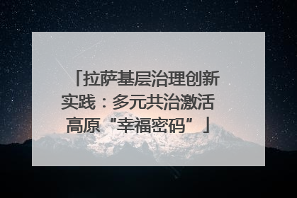 拉萨基层治理创新实践：多元共治激活高原“幸福密码”