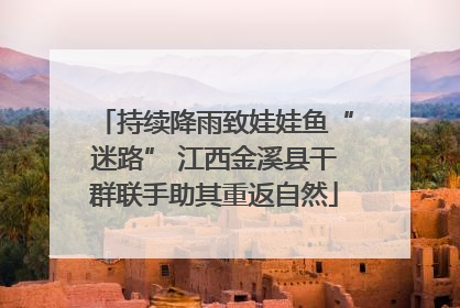 持续降雨致娃娃鱼“迷路” 江西金溪县干群联手助其重返自然