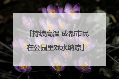持续高温 成都市民在公园里戏水纳凉