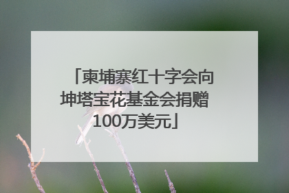 柬埔寨红十字会向坤塔宝花基金会捐赠100万美元