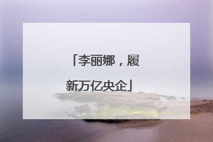 李丽娜，履新万亿央企