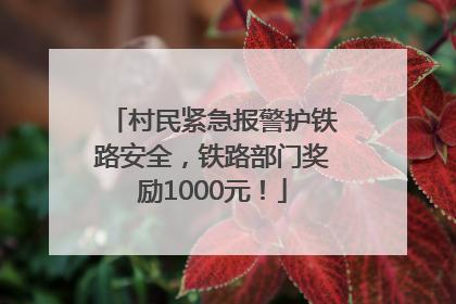 村民紧急报警护铁路安全，铁路部门奖励1000元！