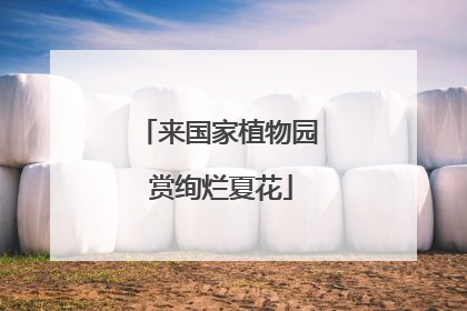 来国家植物园 赏绚烂夏花