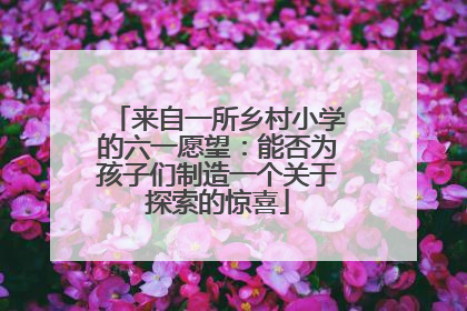 来自一所乡村小学的六一愿望：能否为孩子们制造一个关于探索的惊喜