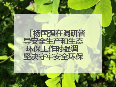 杨国强在调研督导安全生产和生态环保工作时强调 坚决守牢安全环保底线红线 为全市经济社会高质量发展提供坚强保障