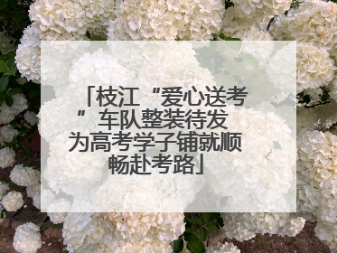 枝江“爱心送考”车队整装待发 为高考学子铺就顺畅赴考路