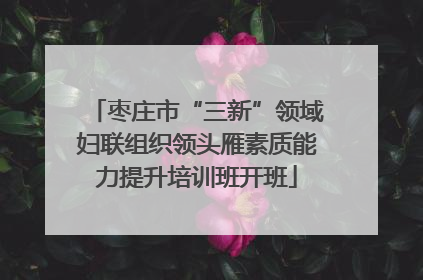 枣庄市“三新”领域妇联组织领头雁素质能力提升培训班开班