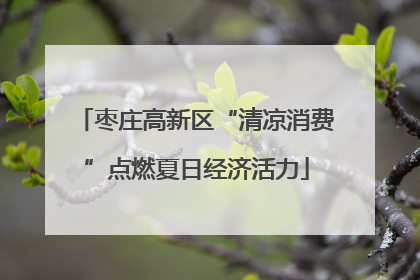 枣庄高新区“清凉消费”点燃夏日经济活力