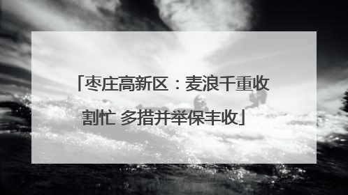 枣庄高新区：麦浪千重收割忙 多措并举保丰收