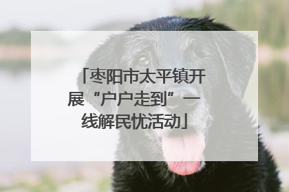 枣阳市太平镇开展“户户走到”一线解民忧活动