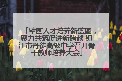 擘画人才培养新蓝图，聚力共筑促进新跨越 镇江市丹徒高级中学召开骨干教师培养大会