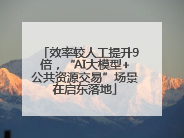 效率较人工提升9倍，“AI大模型+公共资源交易”场景在启东落地