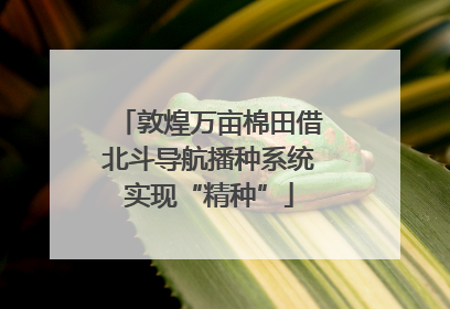 敦煌万亩棉田借北斗导航播种系统实现“精种”