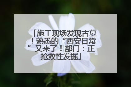 施工现场发现古墓！熟悉的“西安日常”又来了！部门：正抢救性发掘