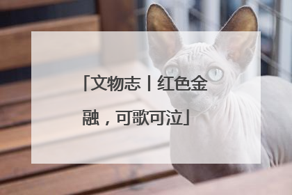 文物志丨红色金融，可歌可泣
